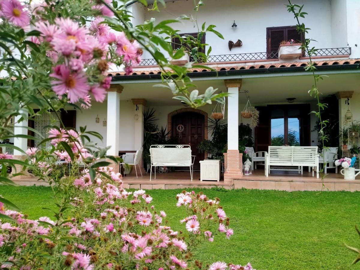 B&B Il Cantico Greccio Dış mekan fotoğraf