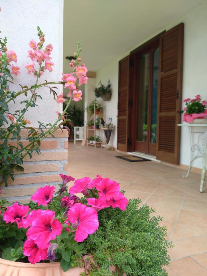 B&B Il Cantico Greccio Dış mekan fotoğraf